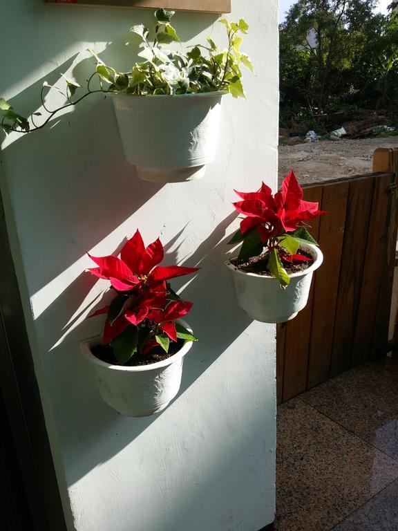 Flower B&B Hualien Exterior foto